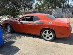 IMG_0583.jpeg